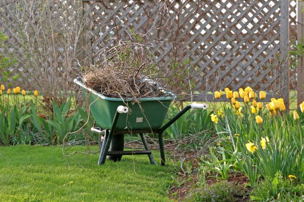 Flower Bed Cleanup Service in Prior Lake