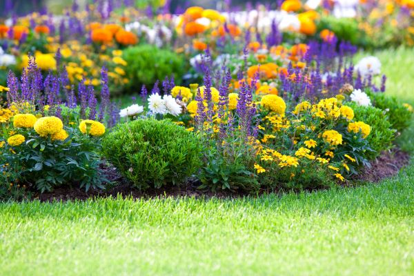Flower Bed Maintenance in Prior Lake