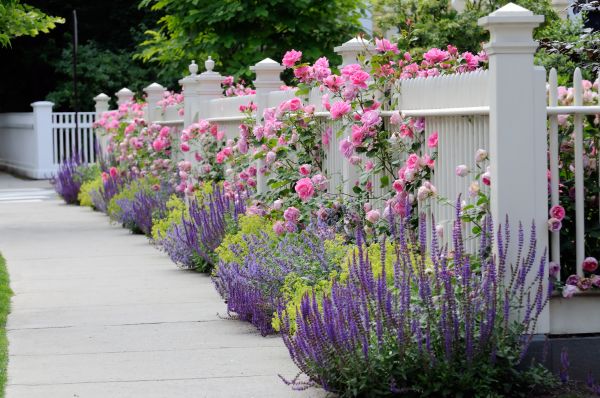 Garden Handyman Service in Prior Lake