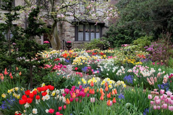Garden Maintenance Service in Prior Lake