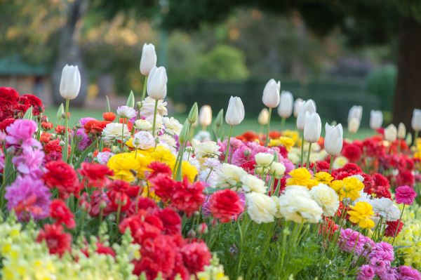 Gardening Service in Prior Lake