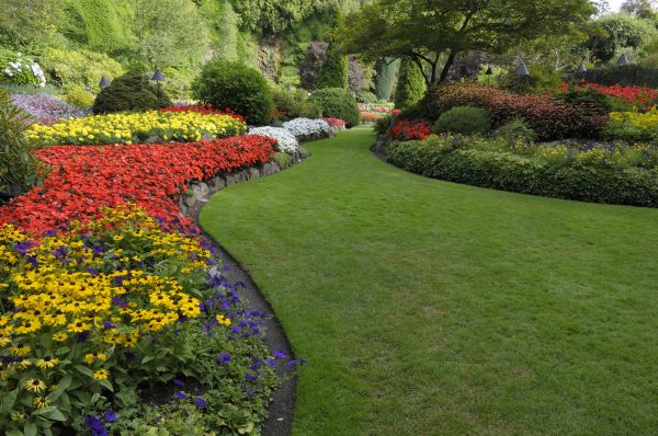 Landscaping Maintenance in Prior Lake