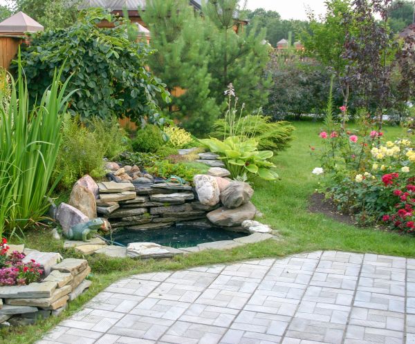 Yard Renovation Service
