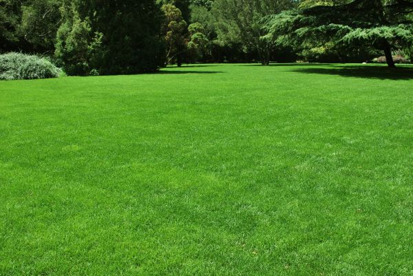 Lawn Landscaping in Prior Lake