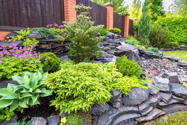 Landscape Remodeling Service