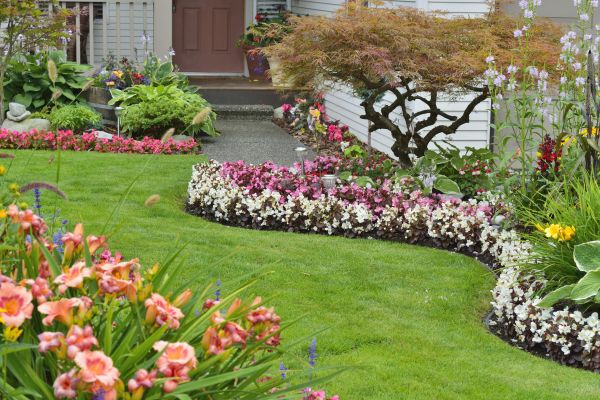 Perennial Landscaping in Prior Lake