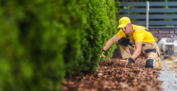 Cypress Mulch Installation in Prior Lake