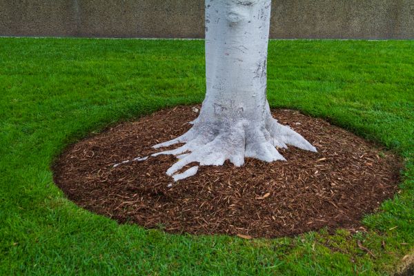 Brown Mulch Installation in Prior Lake