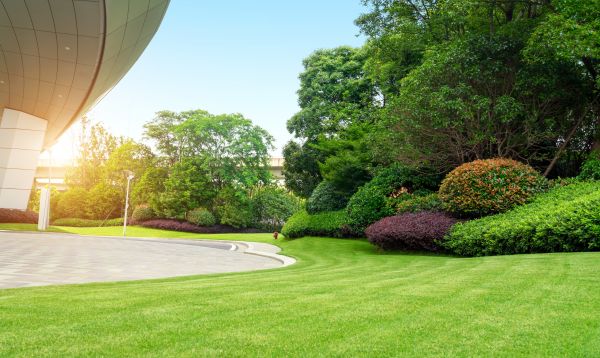 Business Landscape Design in Prior Lake