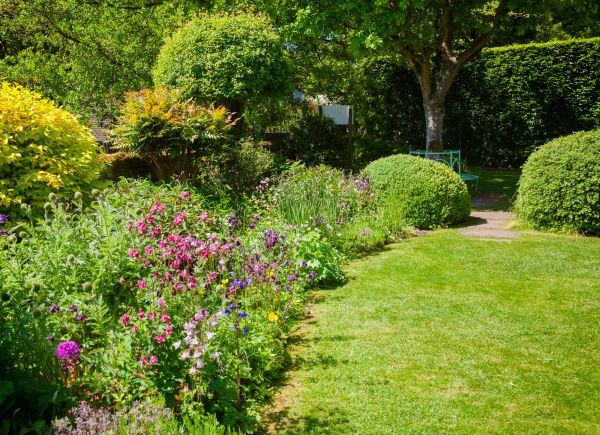 Yard Landscaping Service in Prior Lake