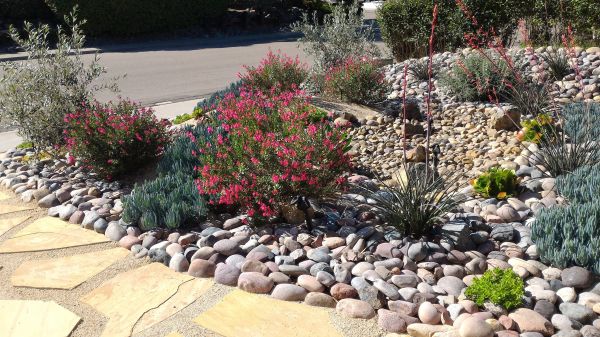 Xeriscape Landscaping in Prior Lake