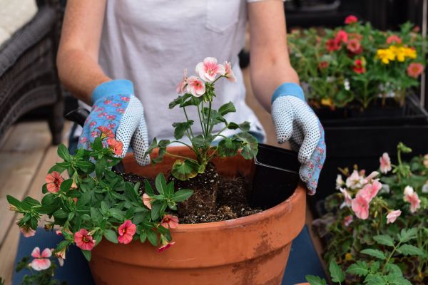Plant Care Service in Prior Lake