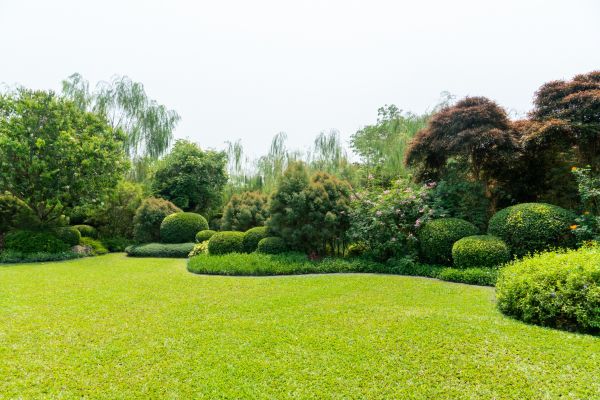 Tree Landscaping in Prior Lake
