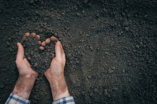 Soil Installation in Prior Lake