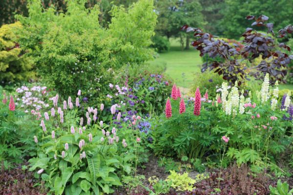 Flower Bed Planting in Prior Lake