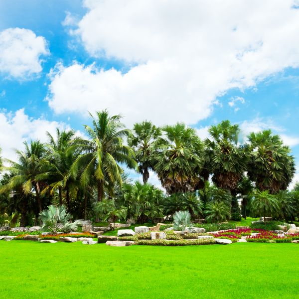 Tropical Landscaping in Prior Lake