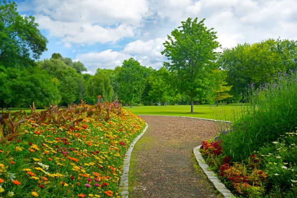 Park Landscaping in Prior Lake