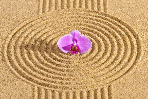 Sand Garden Landscaping in Prior Lake