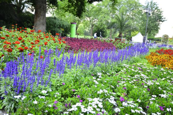 Perennials Planting in Prior Lake