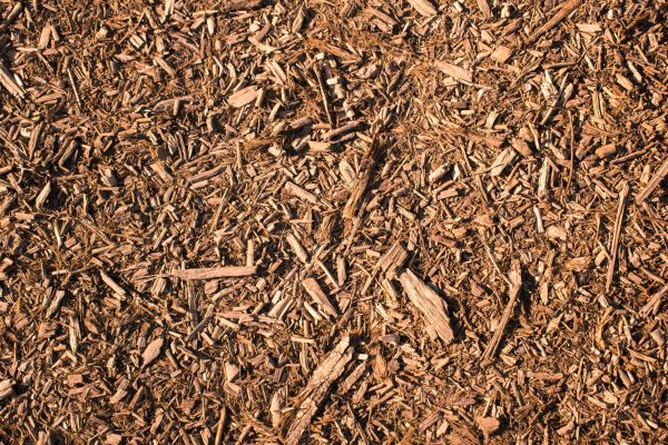 Wood Chips Removal in Prior Lake