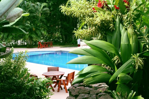 Pool Area Landscaping