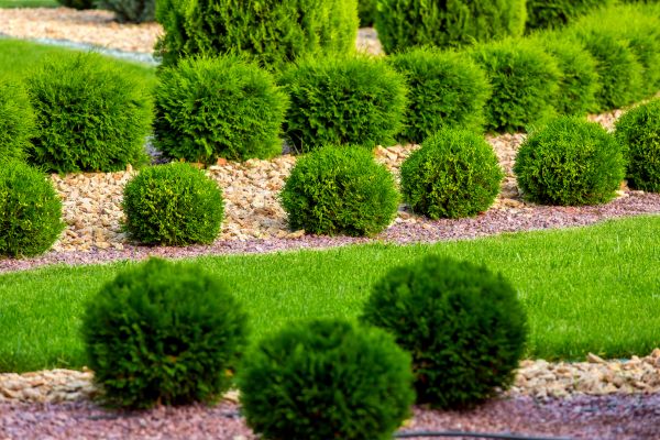 Bush Replacement in Prior Lake