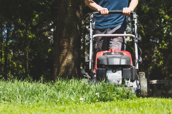 Garden Trimming Service in Prior Lake