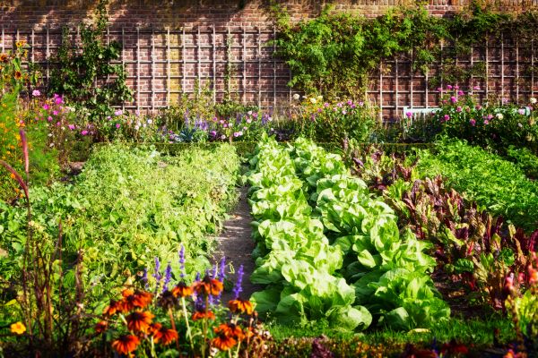 Garden Planting Service in Prior Lake