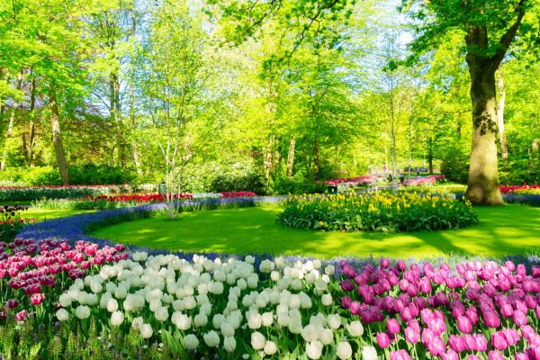Flower Landscaping in Prior Lake