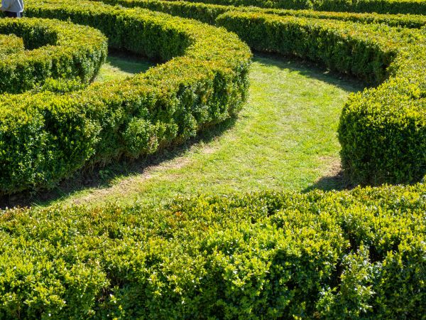 Bush Landscaping in Prior Lake