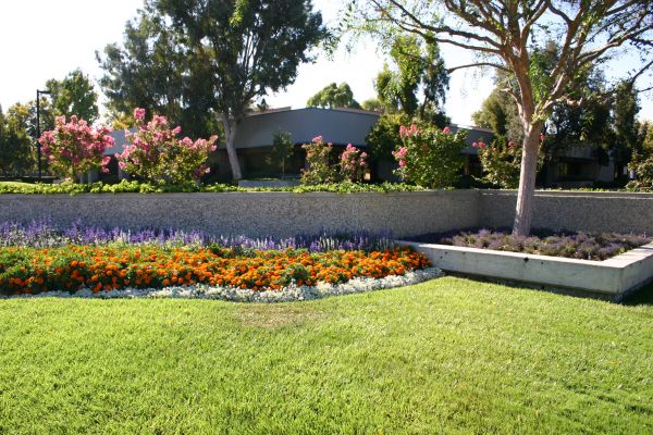 Commercial Landscape Service in Prior Lake