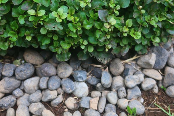 River Stone Installation in Prior Lake