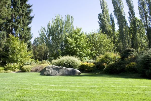 Yard Enlargement in Prior Lake