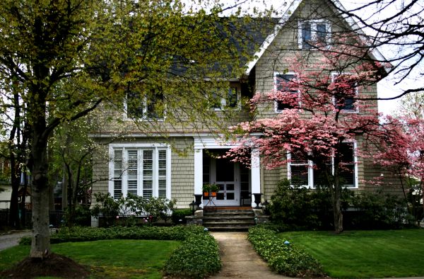 Ornamental Tree Planting in Prior Lake
