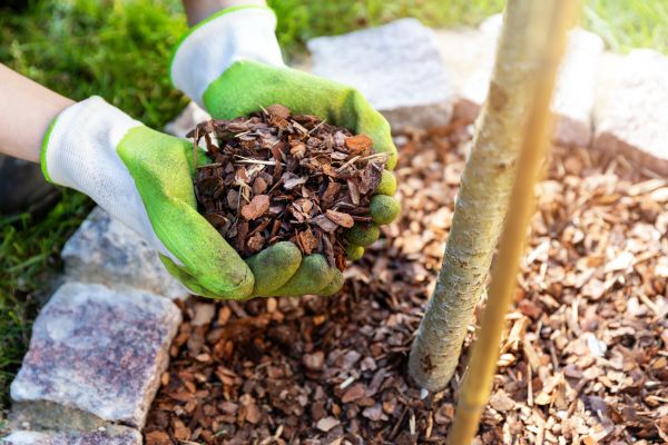 Tree Bark Delivery in Prior Lake
