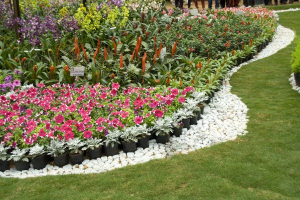 Garden Development