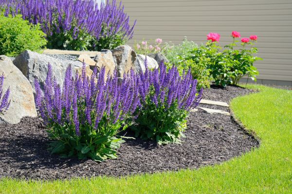 Landscape Planting Service in Prior Lake