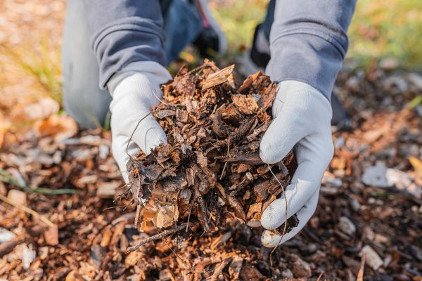 Shredded Mulch Installation in Prior Lake
