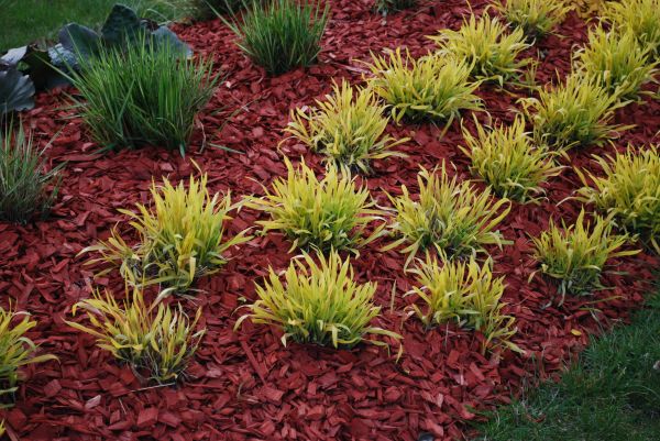 Red Mulch Installation in Prior Lake