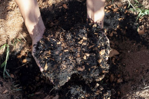 Organic Mulch Installation in Prior Lake