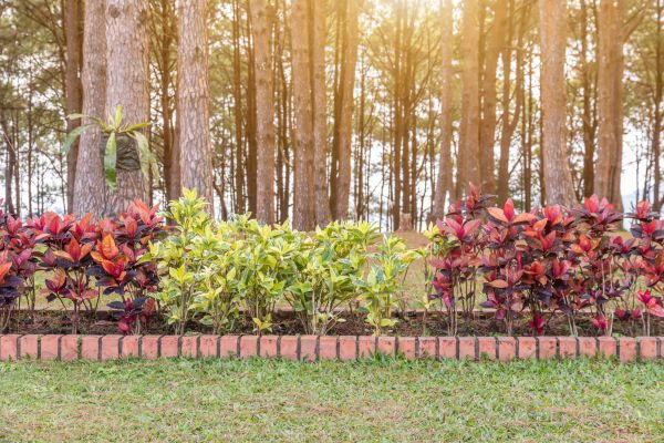 Small Garden Landscaping in Prior Lake