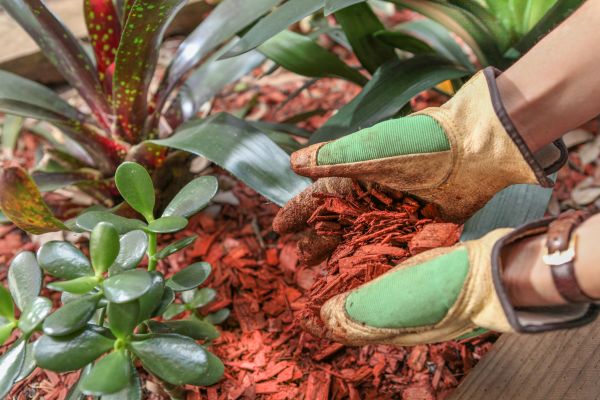 Residential Mulching in Prior Lake