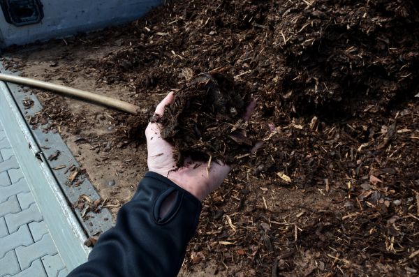 Condo Mulching in Prior Lake