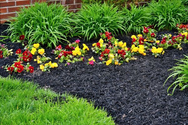 Apartment Mulching in Prior Lake