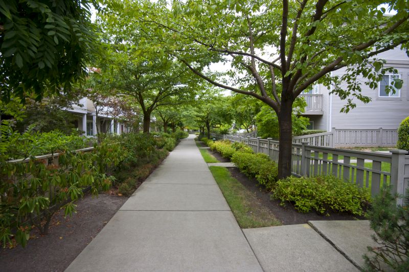 Tree-lined Path