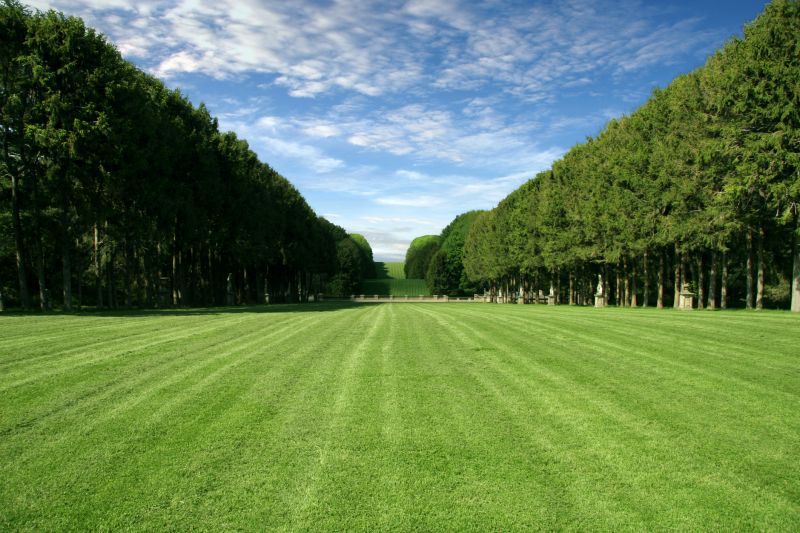 Lawn And Garden Installation